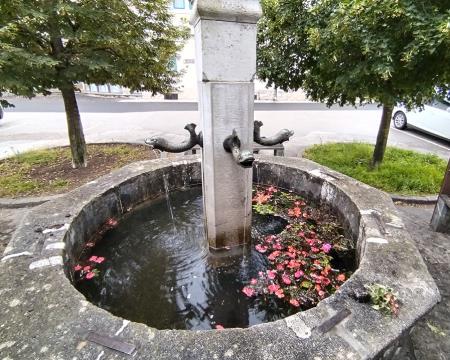 Rože, odvržene v vodnjak